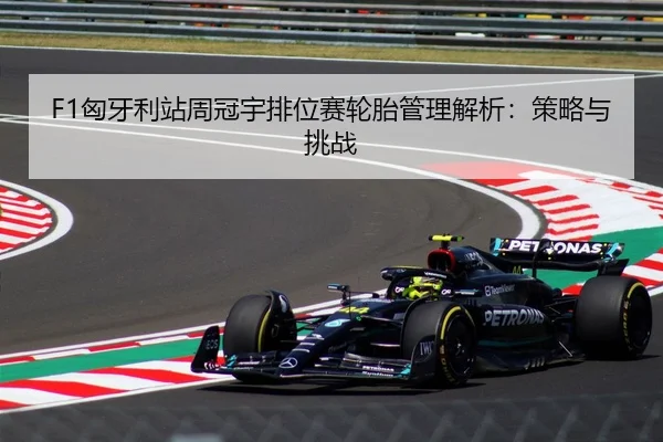 F1匈牙利站周冠宇排位赛轮胎管理解析：策略与挑战