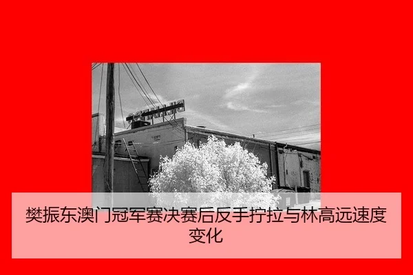 fan-zhen-dong-ao-men-guan-jun-sai-jue-sai-hou-fan-shou-ning-la-yu-lin-gao-yuan-su-du-bian-hua-3-133.jpg