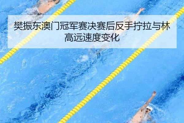樊振东澳门冠军赛决赛后反手拧拉与林高远速度变化