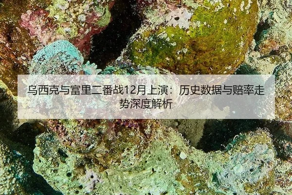 wu-xi-ke-yu-fu-li-er-fan-zhan-yue-shang-yan-li-shi-shu-ju-yu-pei-lv-zou-shi-shen-du-jie-xi-3-278.jpg